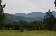 The View