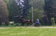 Amish Pass by Often