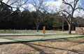 Shuffleboard