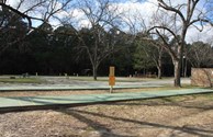 Shuffleboard