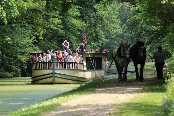 Horse-Drawn Canal Boat Ride