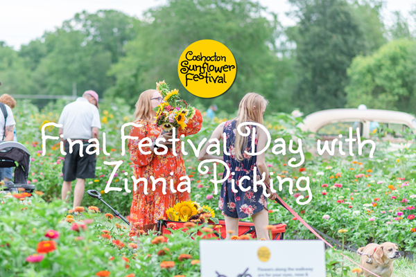 Final Festival Day - Coshocton Sunflower Festival Photo