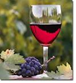 Wineries Photo