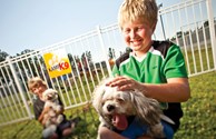 Dog Park