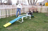 Dog Playground