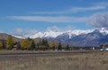 Our Spring view!