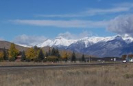 Our Spring view!