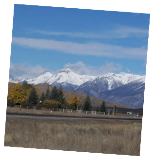 Our Spring view!
