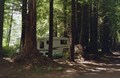 RV sites in the forest