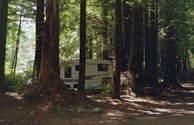 RV sites in the forest