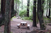 Spacious tent sites