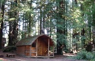 Cabin #3