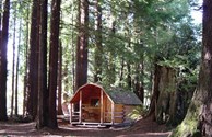 1-room cabin