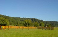 Dog Park