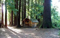 Cabin #2