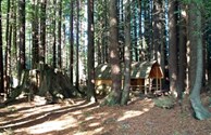 Cabin #9