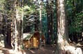 Cabin #3