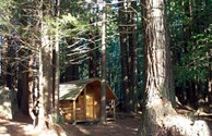 Cabin #3
