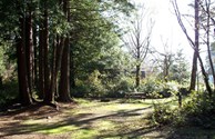 Site #404