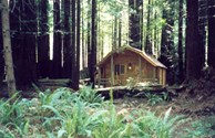 2-room cabin in the forest