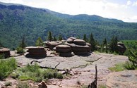 Local Hiking Trail View of Pancake Rocks