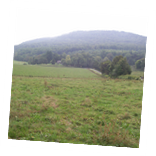 Camp Care Weekend Photo