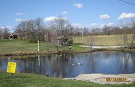 Pond