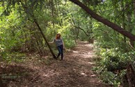 The Creek-Side Trail