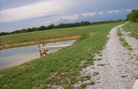 Walking Trail and Pond