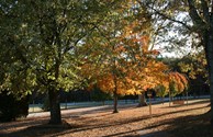 Autumn at the campground