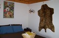 Safari Room