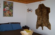 Safari Room