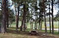 Comfortable tenting sites