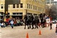 Annual Ft. Worth Stock Show and Rodeo Photo