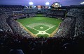 Action inside Texas Rangers'Ballpark