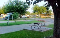 Pull through Sites with Picnic Table