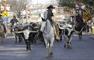 Ft. Worth Stock Yards and Cattle Drive