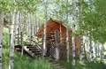 Kabin in Trees