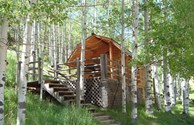 Kabin in Trees