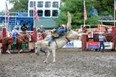 Shawnee Mountain Festivals Photo