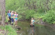 Creek Diving