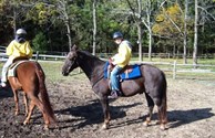Horseback Riding