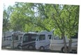 Nice, long, shady sites Photo