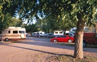 Shady Spots