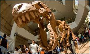 The Denver Museum of Natural History