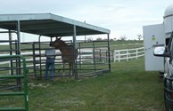 Horse Boarding Facilities