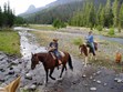 Shoshone National Forest Photo