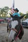 Friday Night Rodeo Photo