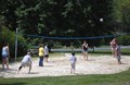 Fun in the Sun