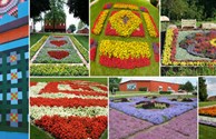 Quilt Garden Tour Partner!